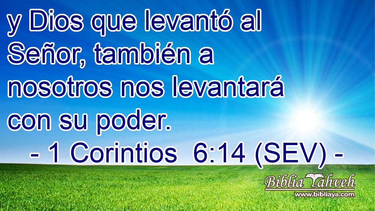 y Dios que levantó al Señor, también a nosotros nos levantará con su poder.