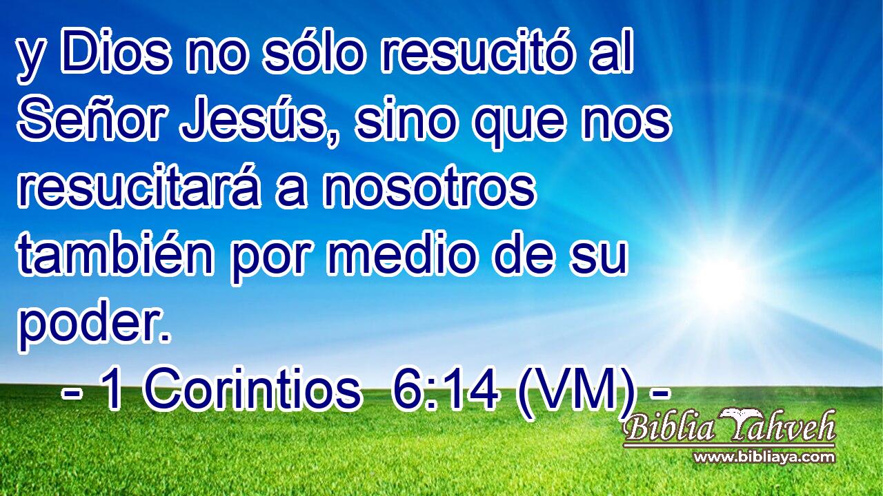  y Dios no sólo resucitó al Señor Jesús, sino que nos resucitará a nosotros también por medio de su poder. 