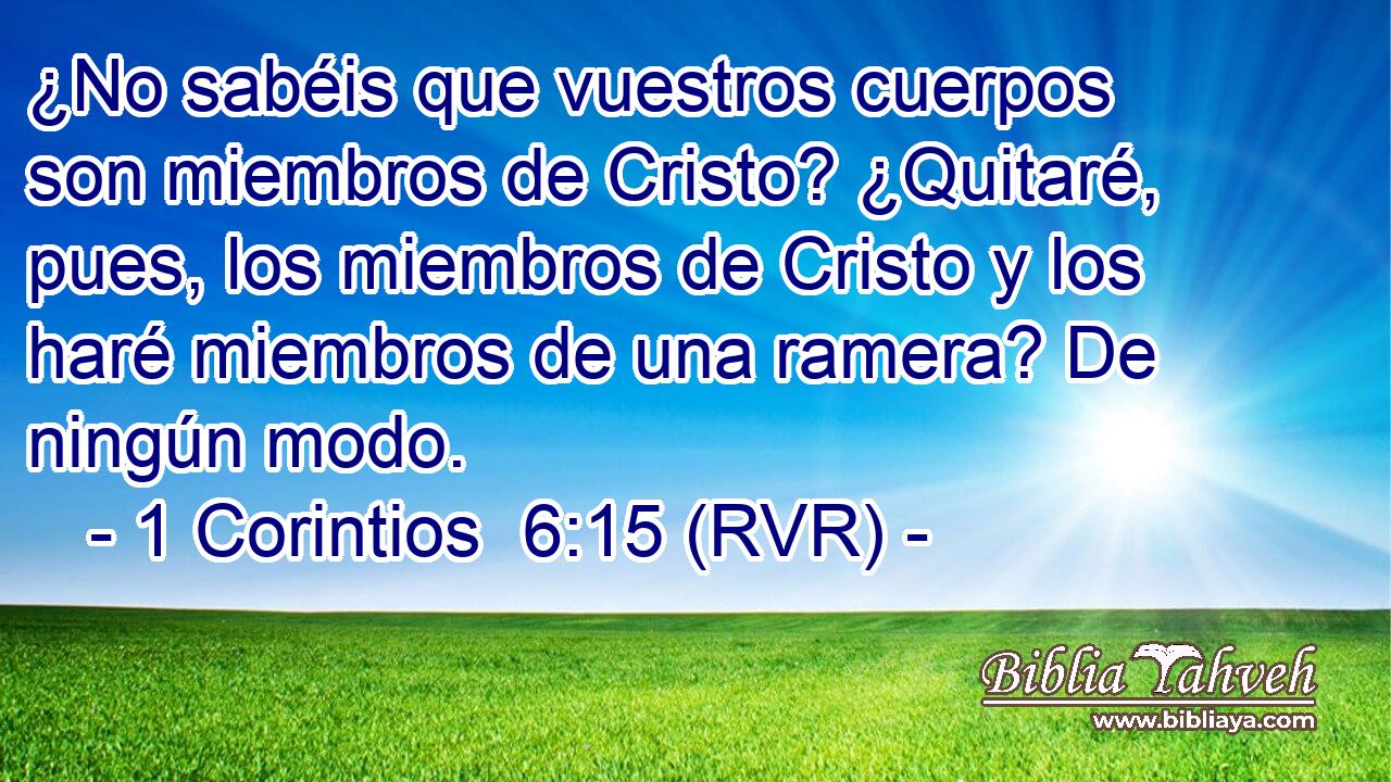 1 Corintios 6:15 (RVR) - ¿No Sabéis Que Vuestros Cuerpos Son Mi...