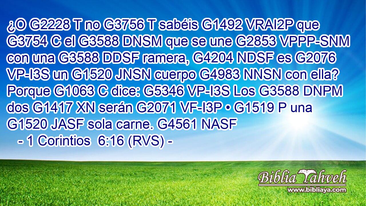 ¿O G2228 T no G3756 T sabéis G1492 VRAI2P que G3754 C el G3588 DNSM que se une G2853 VPPP-SNM con una G3588 DDSF ramera, G4204 NDSF es G2076 VP-I3S un G1520 JNSN cuerpo G4983 NNSN con ella? Porque G1063 C dice: G5346 VP-I3S Los G3588 DNPM dos G1417 XN serán G2071 VF-I3P • G1519 P una G1520 JASF sola carne. G4561 NASF 