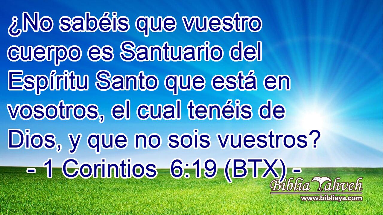 ¿No sabéis que vuestro cuerpo es Santuario del Espíritu Santo que está en vosotros, el cual tenéis de Dios, y que no sois vuestros?