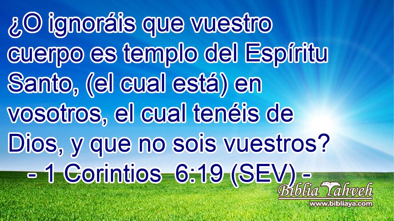¿O ignoráis que vuestro cuerpo es templo del Espíritu Santo, (el cual está) en vosotros, el cual tenéis de Dios, y que no sois vuestros?