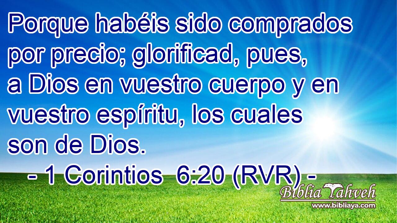 Porque habéis sido comprados por precio; glorificad, pues, a Dios en vuestro cuerpo y en vuestro espíritu, los cuales son de Dios.
