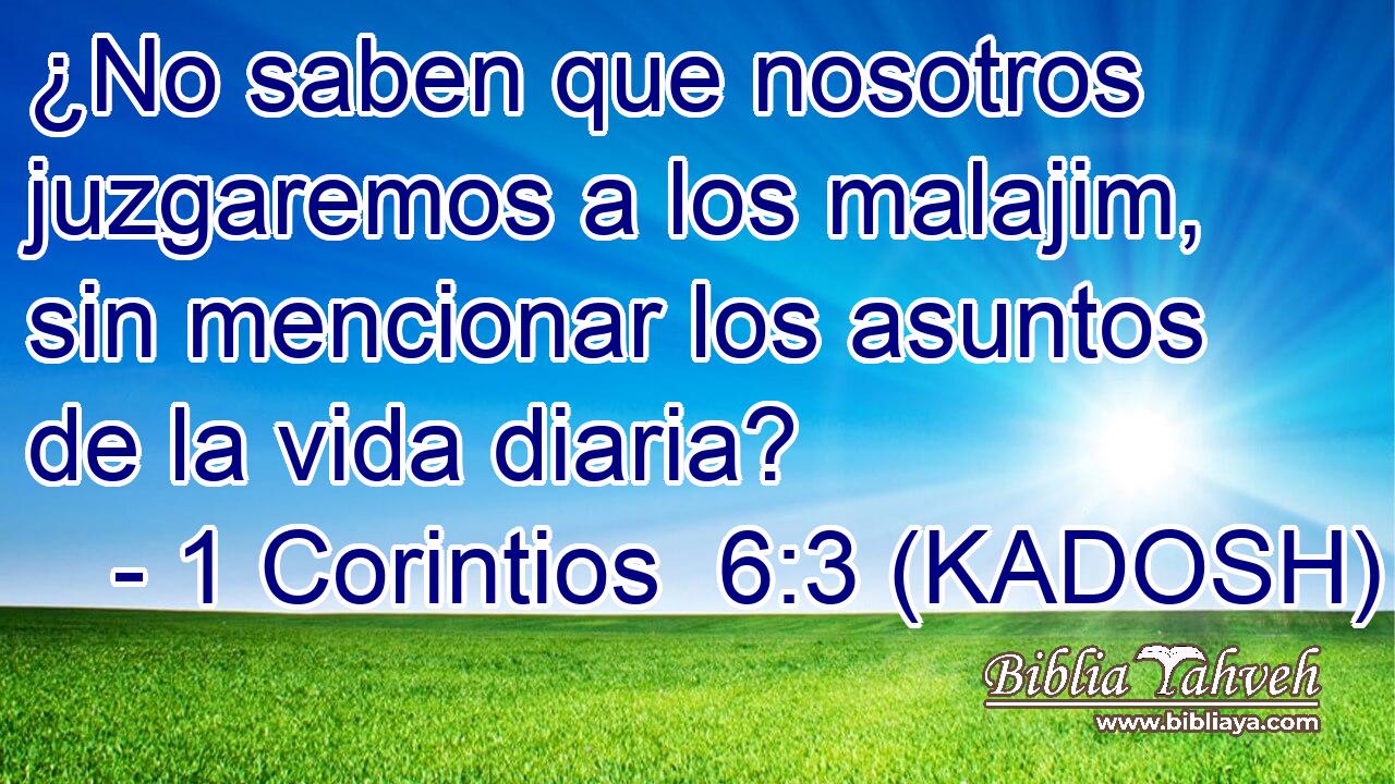  ¿No saben que nosotros juzgaremos a los malajim, sin mencionar los asuntos de la vida diaria? 