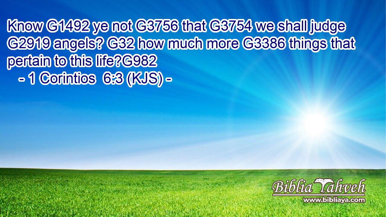 Know G1492 ye not G3756 that G3754 we shall judge G2919 angels? G32 how much more G3386 things that pertain to this life?G982
