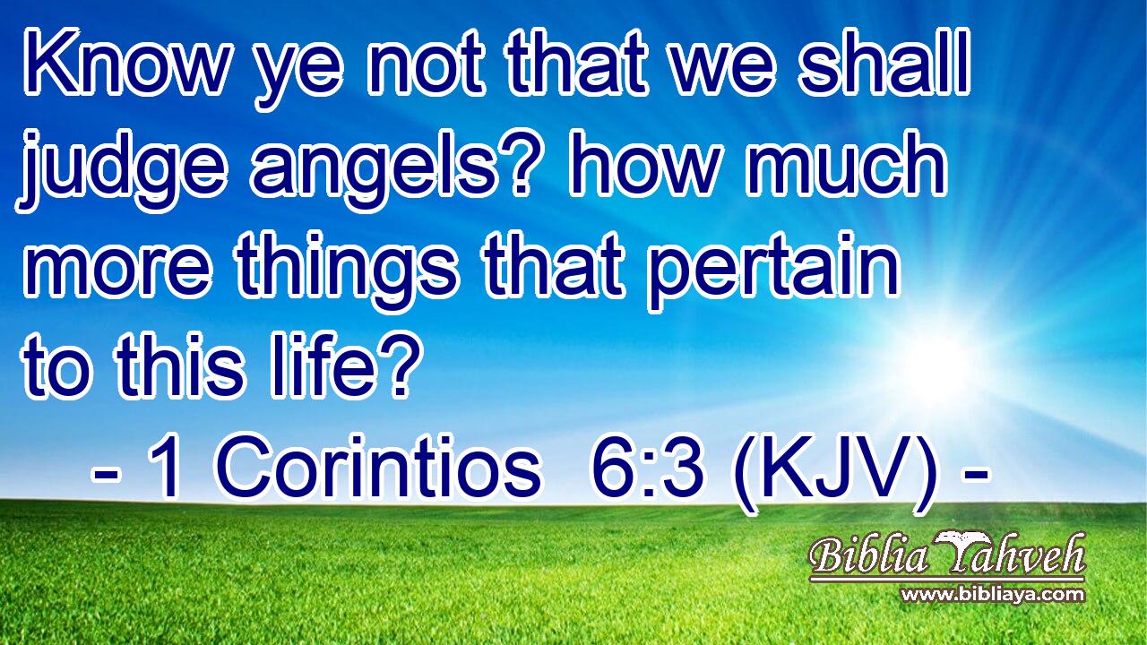 Know ye not that we shall judge angels? how much more things that pertain to this life?