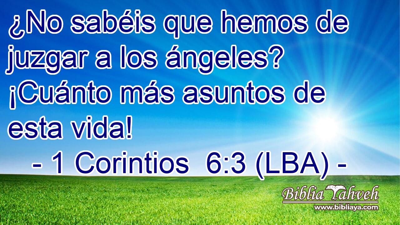 ¿No sabéis que hemos de juzgar a los ángeles? ¡Cuánto más asuntos de esta vida!