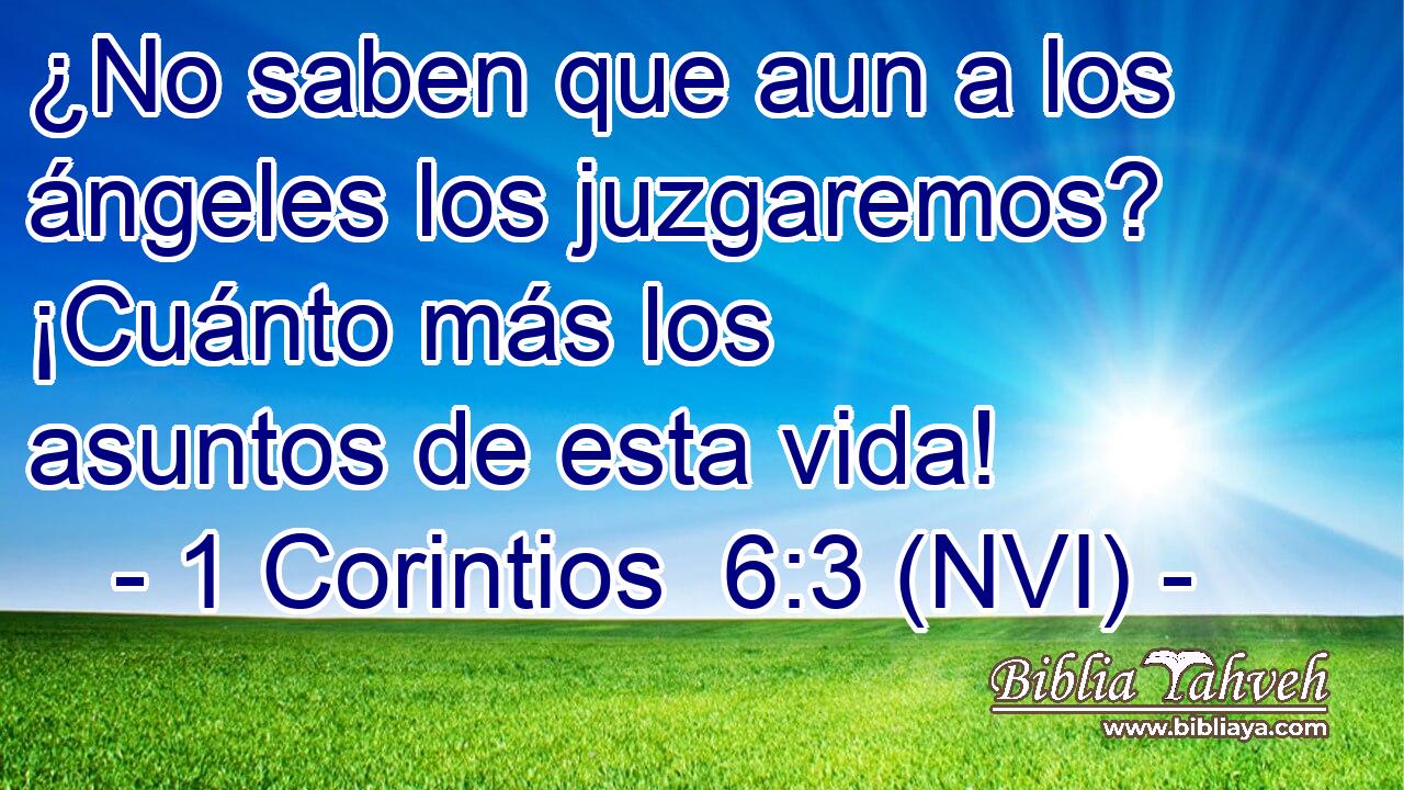  ¿No saben que aun a los ángeles los juzgaremos? ¡Cuánto más los asuntos de esta vida! 