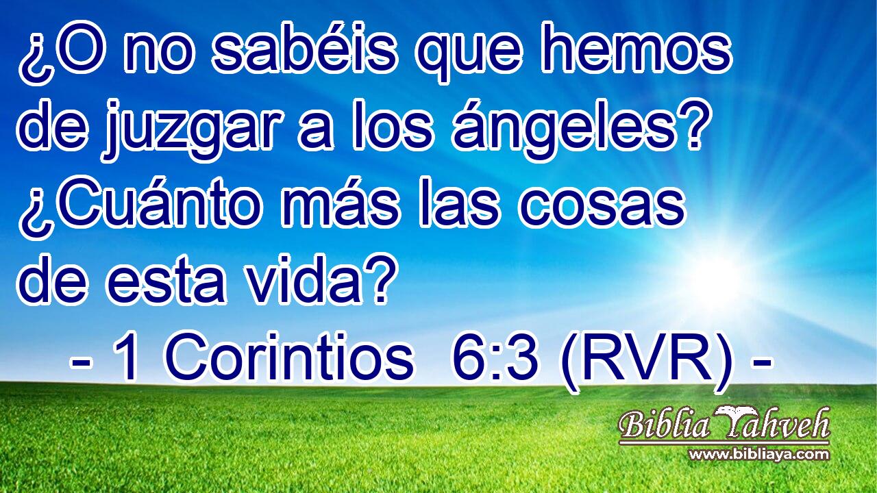 ¿O no sabéis que hemos de juzgar a los ángeles? ¿Cuánto más las cosas de esta vida?
