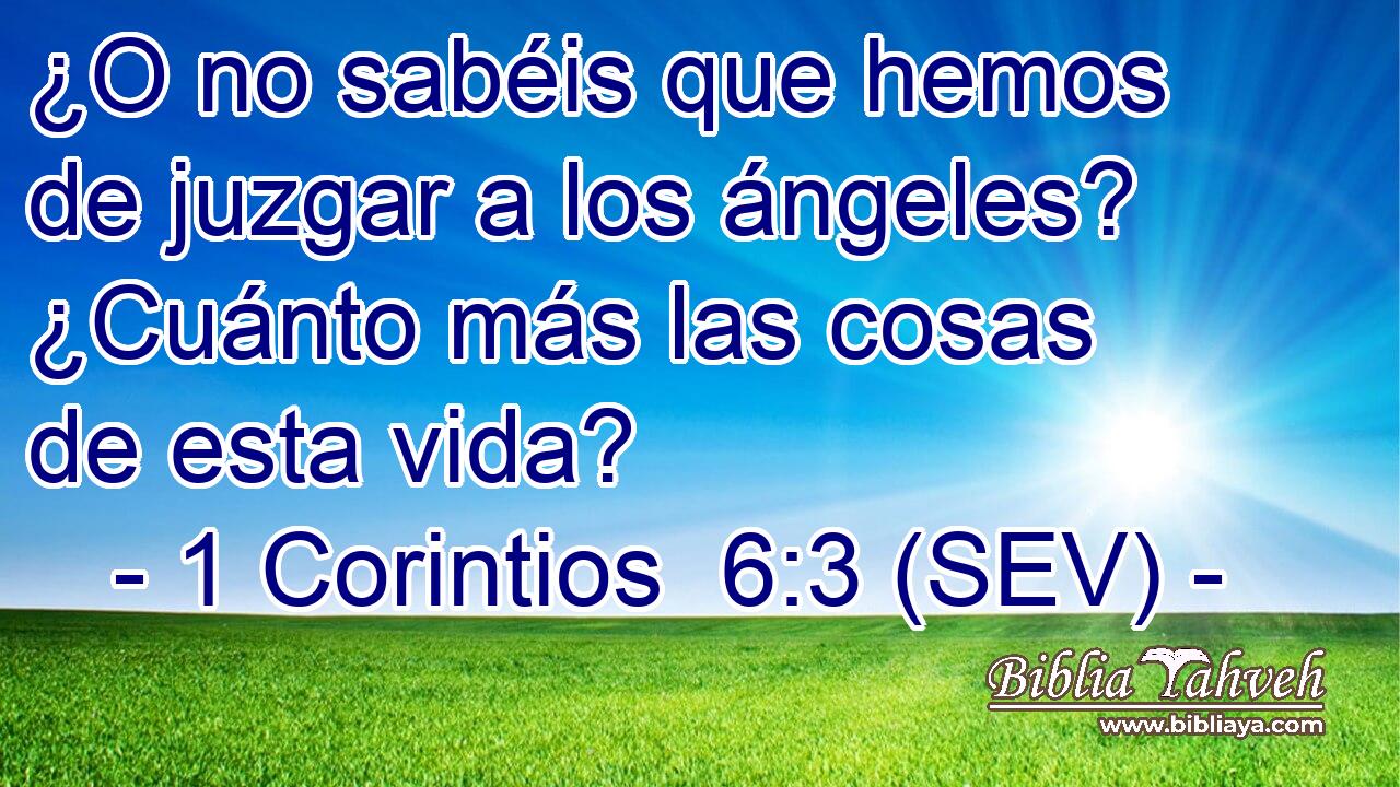 ¿O no sabéis que hemos de juzgar a los ángeles? ¿Cuánto más las cosas de esta vida?