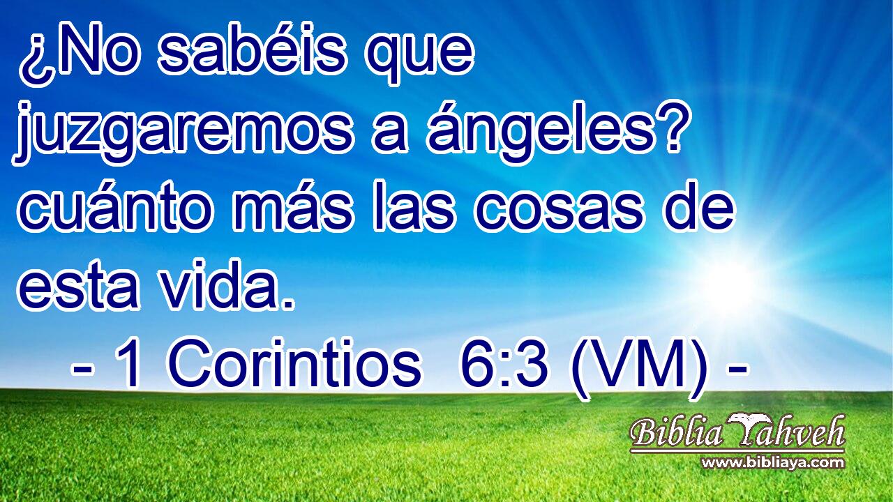  ¿No sabéis que juzgaremos a ángeles? cuánto más las cosas de esta vida. 