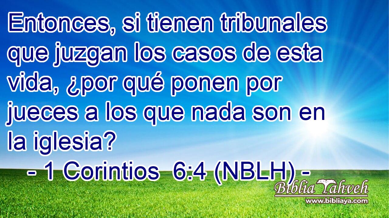  Entonces, si tienen tribunales que juzgan los casos de esta vida, ¿por qué ponen por jueces a los que nada son en la iglesia? 