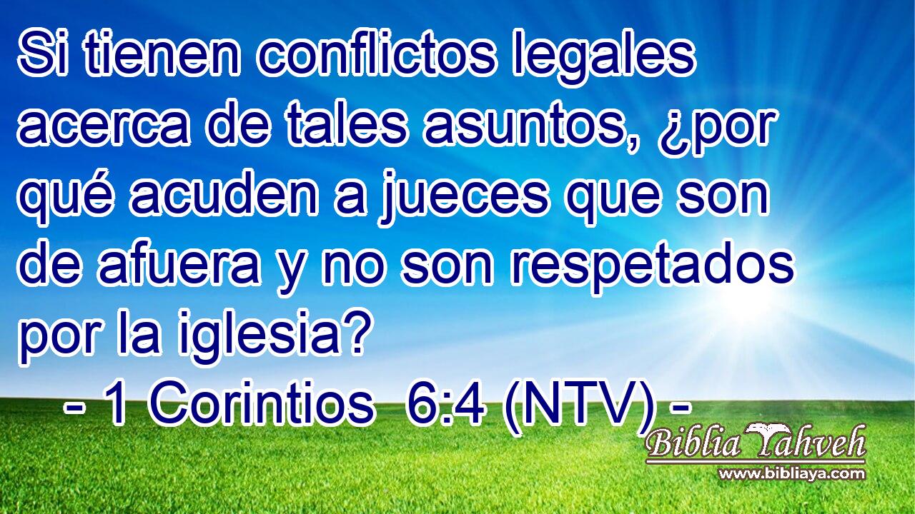 Si tienen conflictos legales acerca de tales asuntos, ¿por qué acuden a jueces que son de afuera y no son respetados por la iglesia?