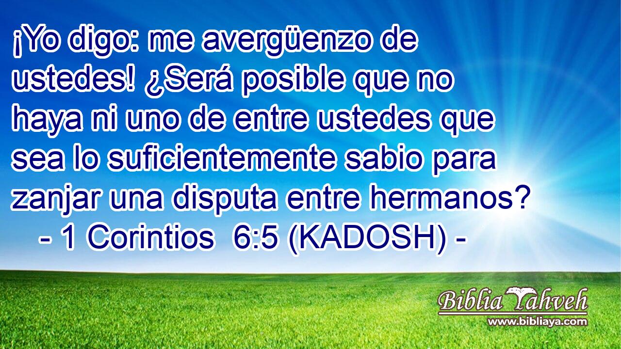  ¡Yo digo: me avergüenzo de ustedes! ¿Será posible que no haya ni uno de entre ustedes que sea lo suficientemente sabio para zanjar una disputa entre hermanos? 