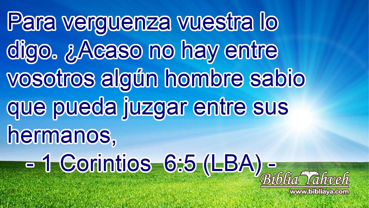 Para verguenza vuestra lo digo. ¿Acaso no hay entre vosotros algún hombre sabio que pueda juzgar entre sus hermanos,