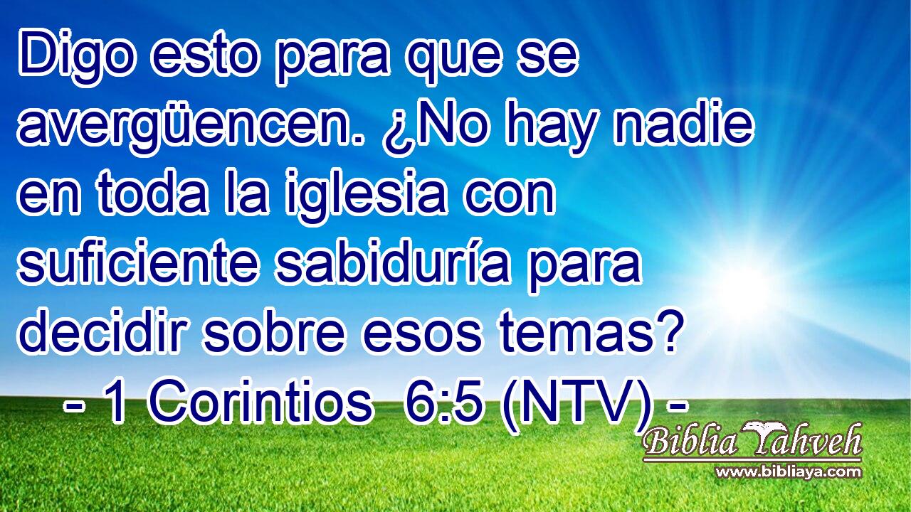 Digo esto para que se avergüencen. ¿No hay nadie en toda la iglesia con suficiente sabiduría para decidir sobre esos temas?
