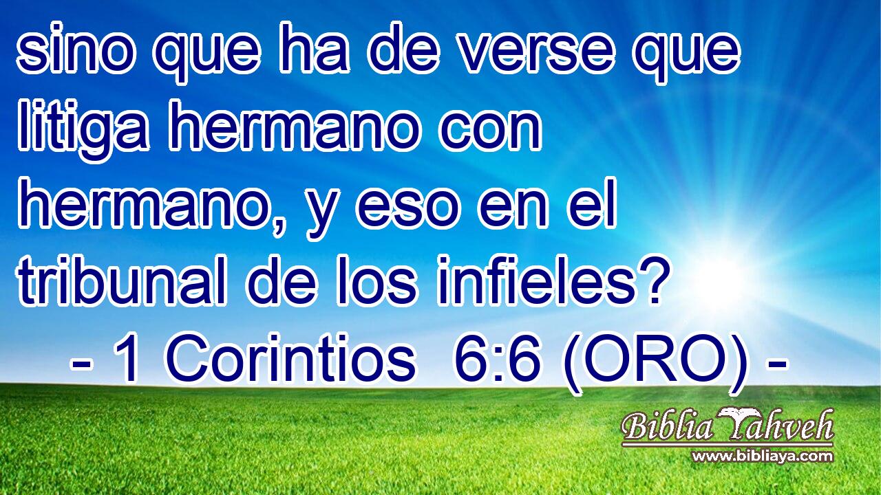  sino que ha de verse que litiga hermano con hermano, y eso en el tribunal de los infieles? 