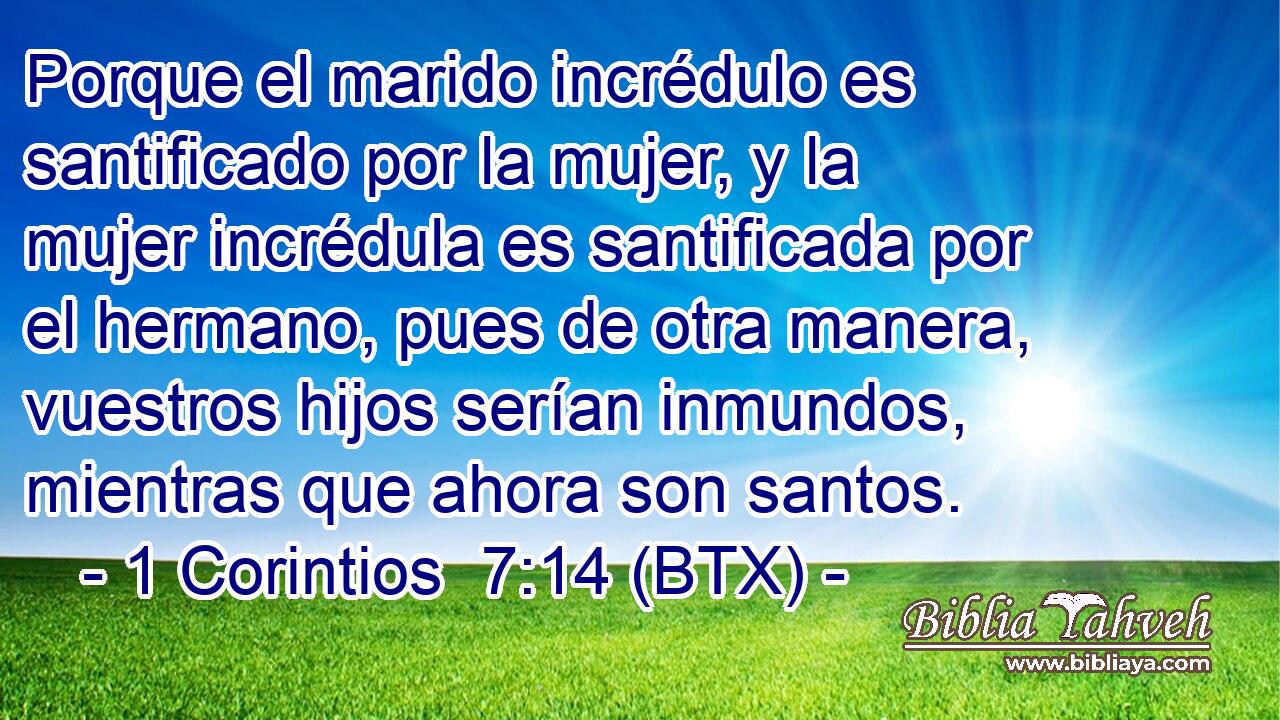 Porque el marido incrédulo es santificado por la mujer, y la mujer incrédula es santificada por el hermano, pues de otra manera, vuestros hijos serían inmundos, mientras que ahora son santos.