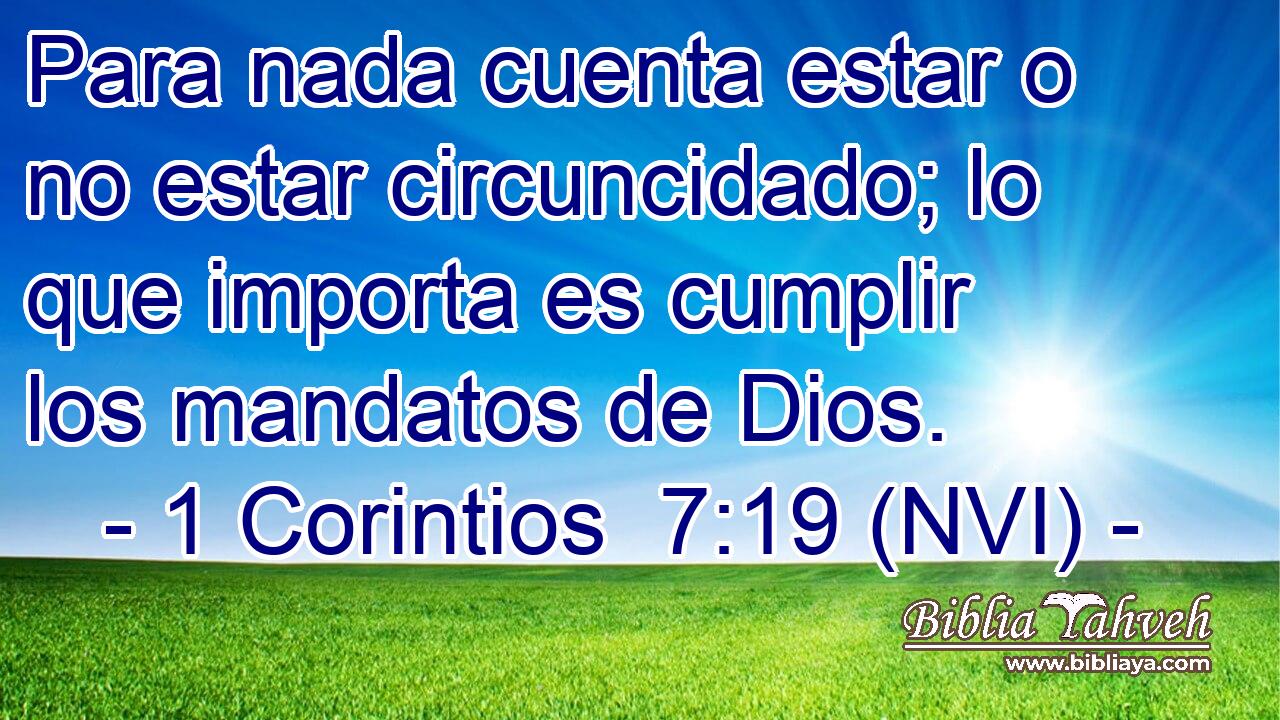  Para nada cuenta estar o no estar circuncidado; lo que importa es cumplir los mandatos de Dios. 