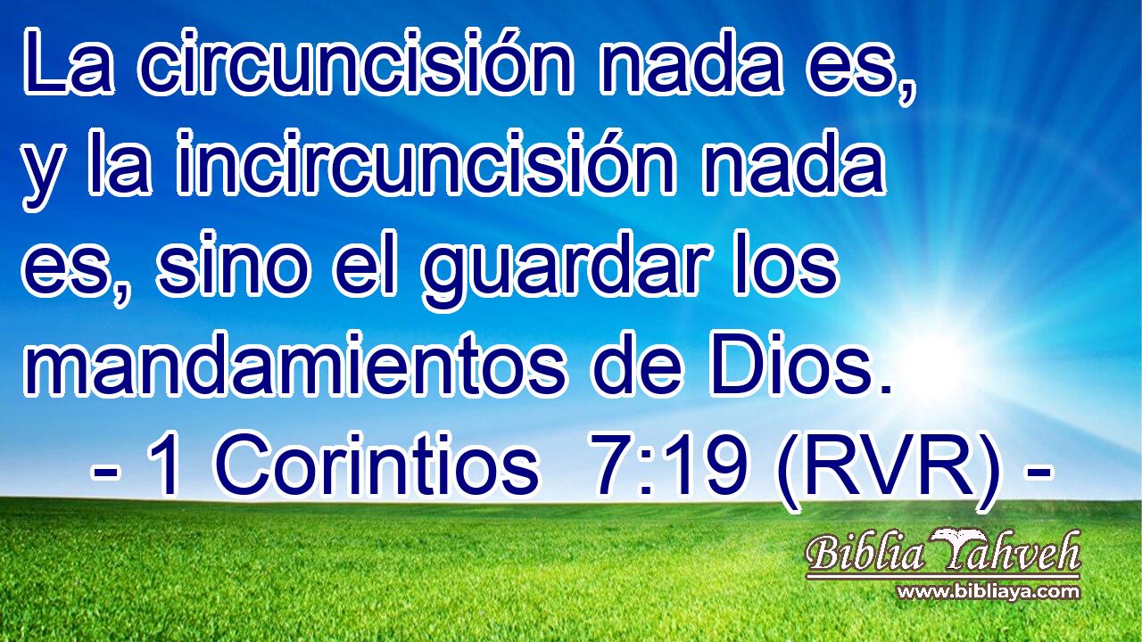 La circuncisión nada es, y la incircuncisión nada es, sino el guardar los mandamientos de Dios.