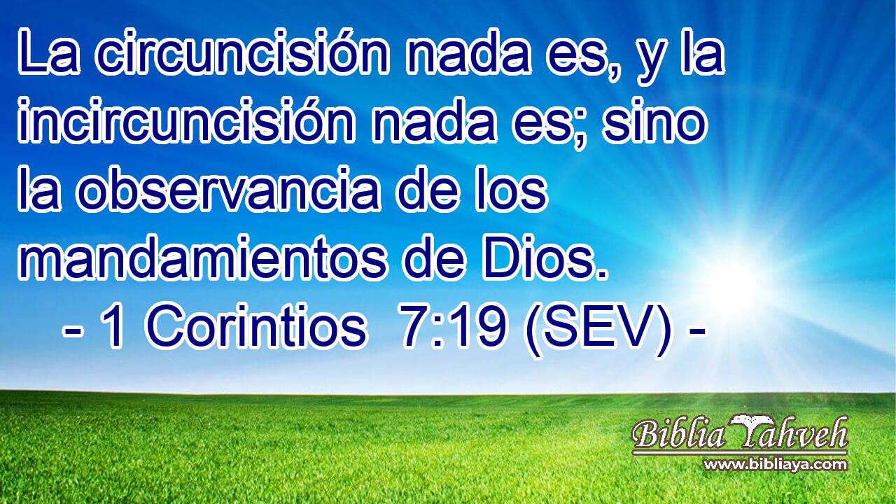 La circuncisión nada es, y la incircuncisión nada es; sino la observancia de los mandamientos de Dios.
