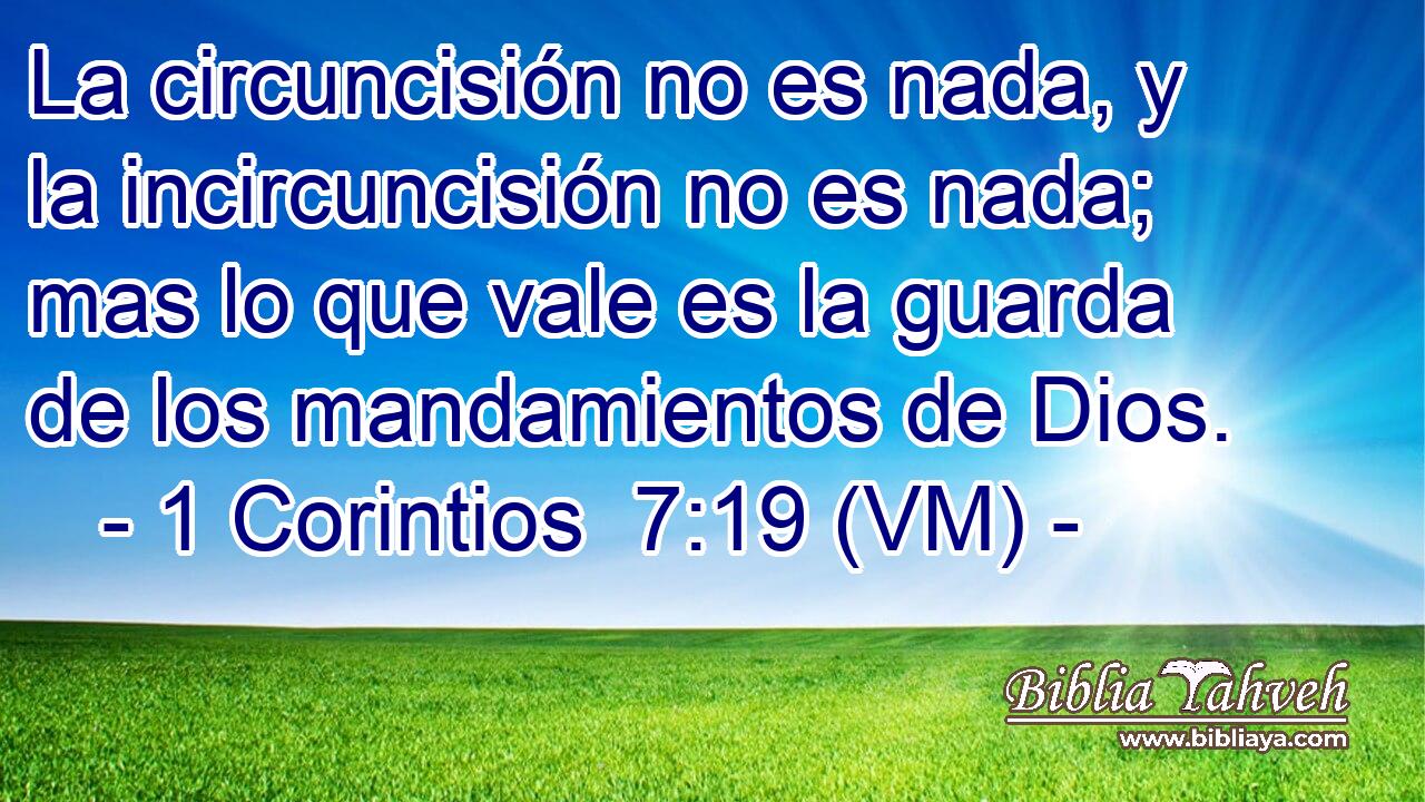  La circuncisión no es nada, y la incircuncisión no es nada; mas lo que vale es la guarda de los mandamientos de Dios. 