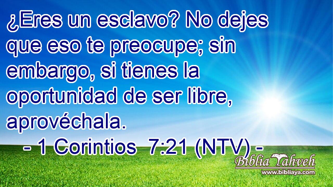 ¿Eres un esclavo? No dejes que eso te preocupe; sin embargo, si tienes la oportunidad de ser libre, aprovéchala.