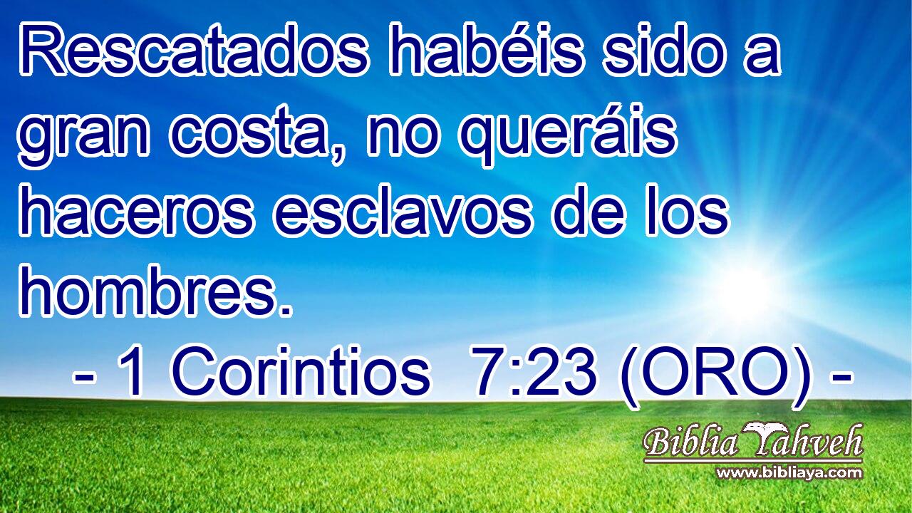  Rescatados habéis sido a gran costa, no queráis haceros esclavos de los hombres. 