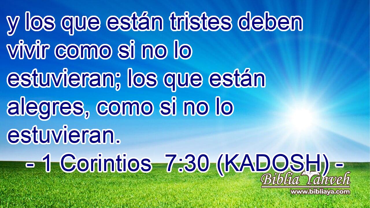  y los que están tristes deben vivir como si no lo estuvieran; los que están alegres, como si no lo estuvieran. 