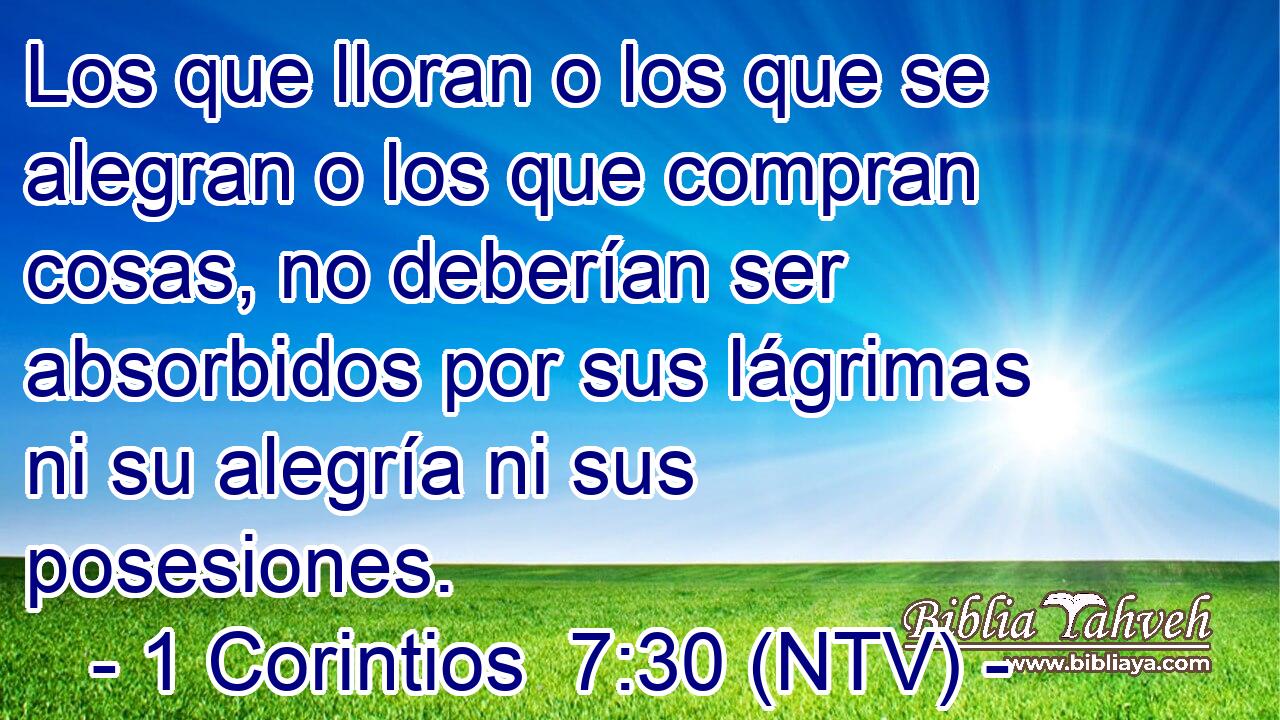 Los que lloran o los que se alegran o los que compran cosas, no deberían ser absorbidos por sus lágrimas ni su alegría ni sus posesiones.