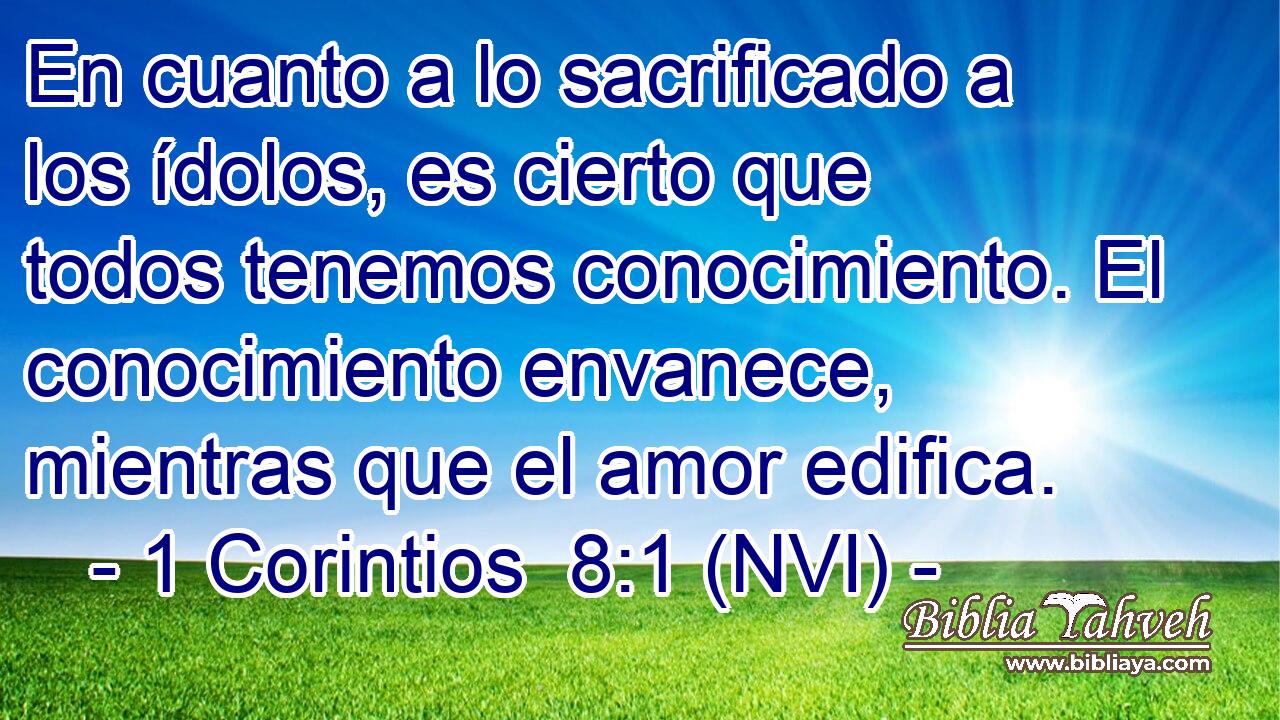  En cuanto a lo sacrificado a los ídolos, es cierto que todos tenemos conocimiento. El conocimiento envanece, mientras que el amor edifica. 