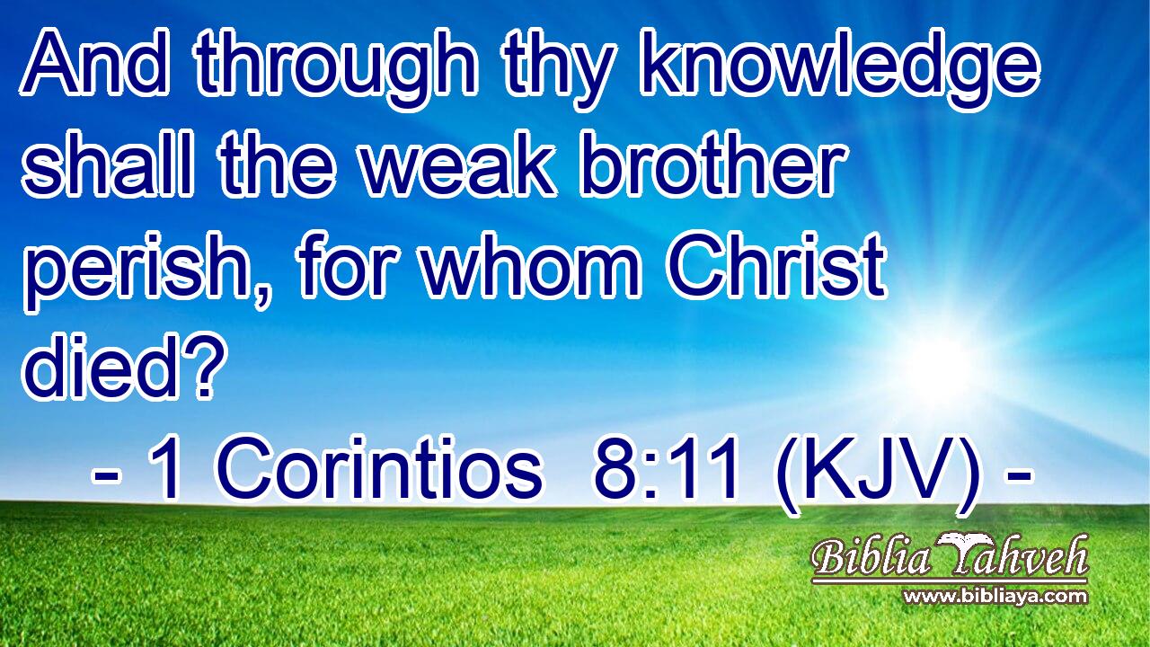 And through thy knowledge shall the weak brother perish, for whom Christ died?
