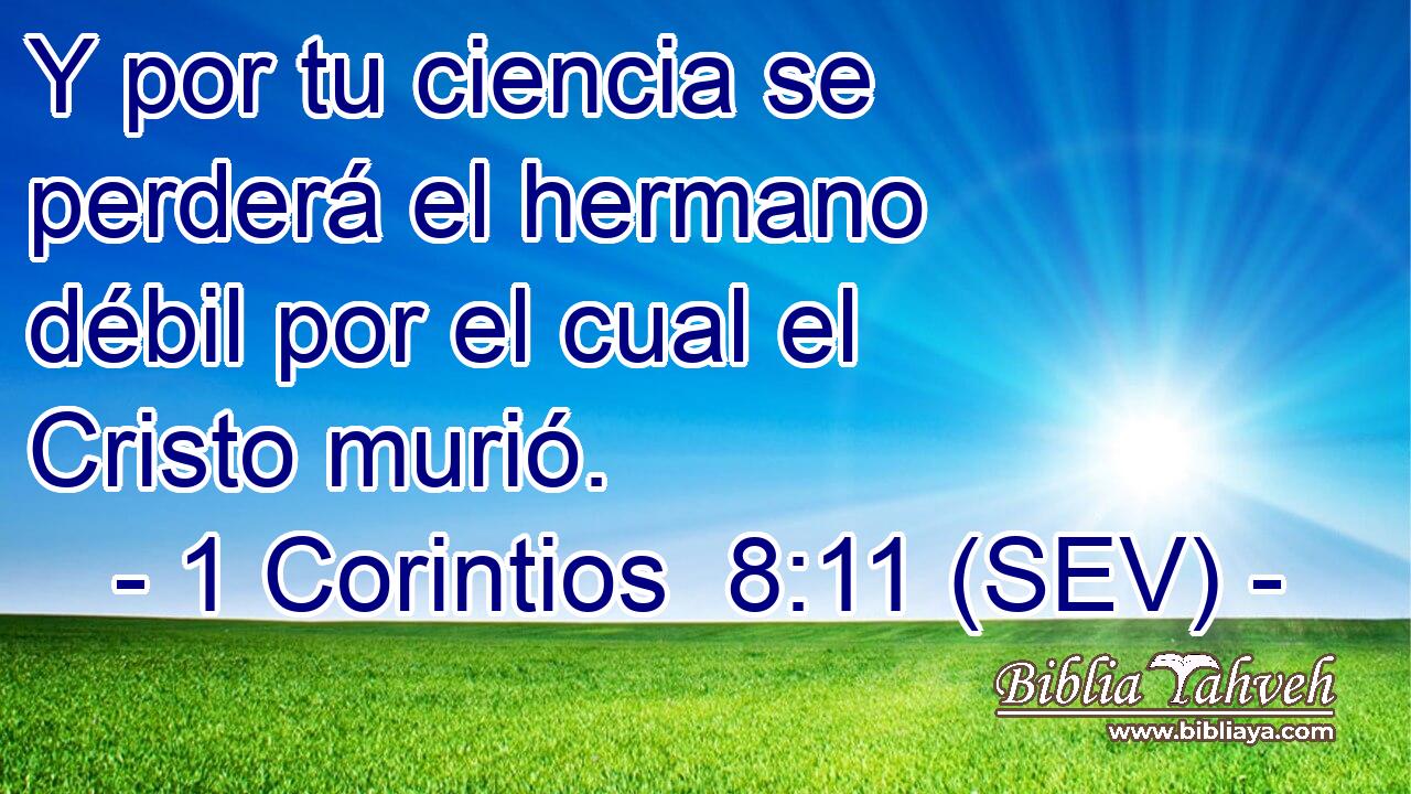 Y por tu ciencia se perderá el hermano débil por el cual el Cristo murió.