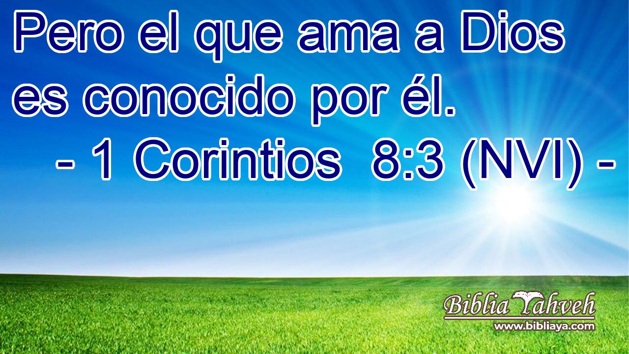  Pero el que ama a Dios es conocido por él. 