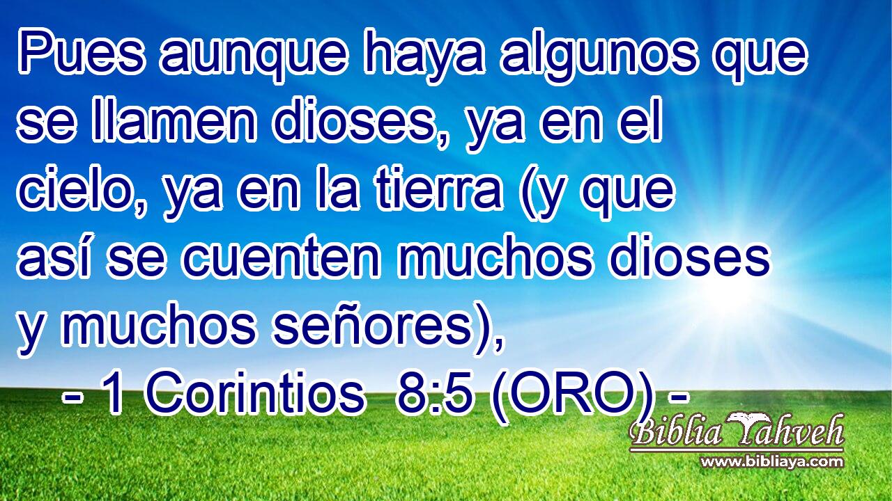  Pues aunque haya algunos que se llamen dioses, ya en el cielo, ya en la tierra (y que así se cuenten muchos dioses y muchos señores), 