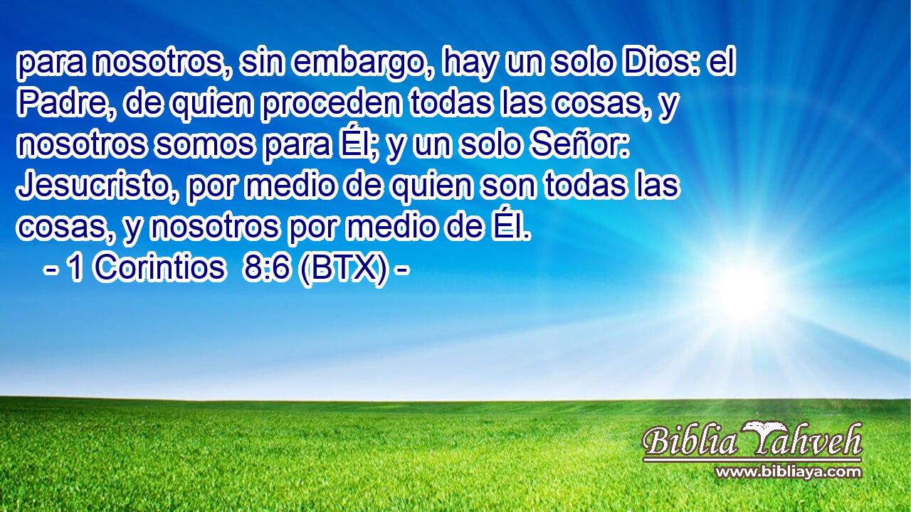 para nosotros, sin embargo, hay un solo Dios: el Padre, de quien proceden todas las cosas, y nosotros somos para Él; y un solo Señor: Jesucristo, por medio de quien son todas las cosas, y nosotros por medio de Él.