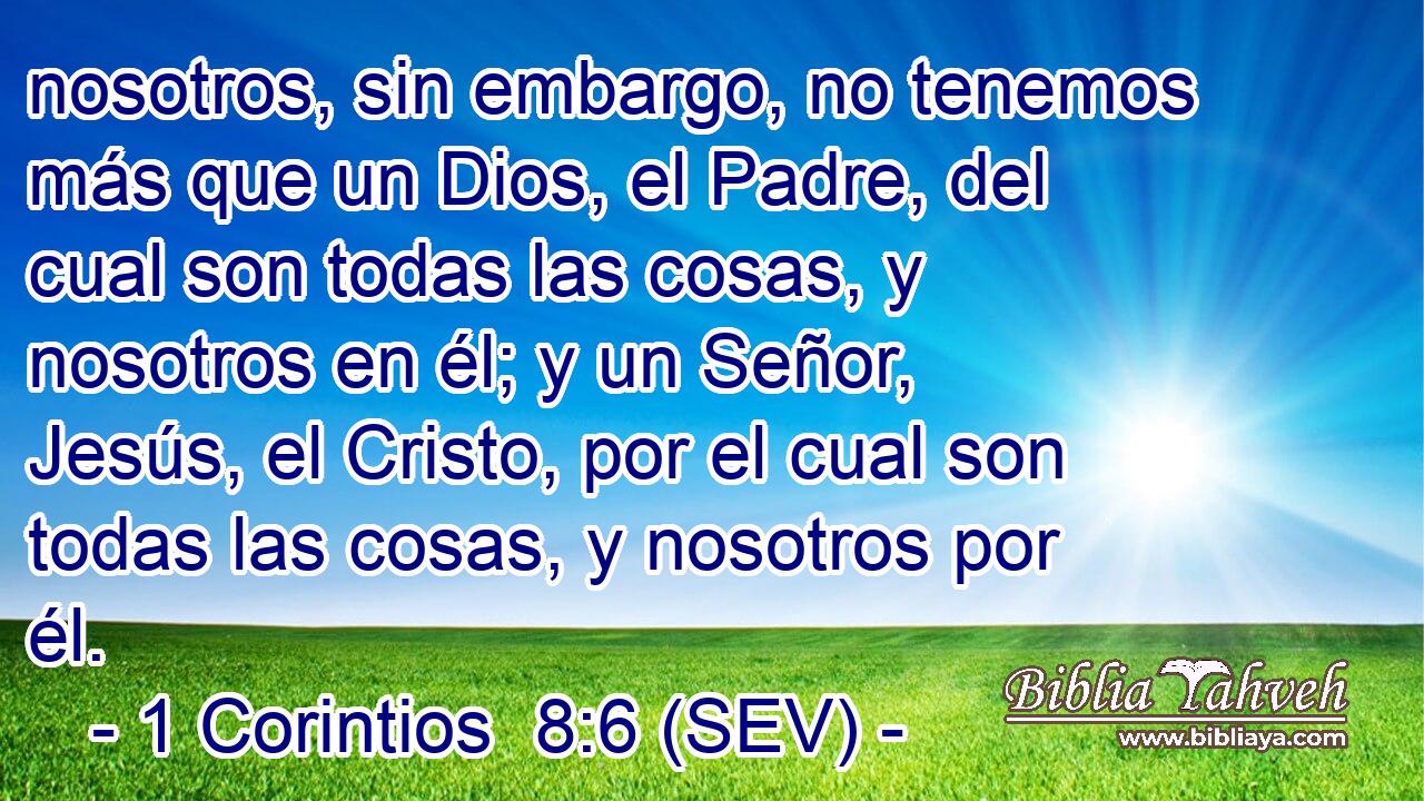 nosotros, sin embargo, no tenemos más que un Dios, el Padre, del cual son todas las cosas, y nosotros en él; y un Señor, Jesús, el Cristo, por el cual son todas las cosas, y nosotros por él.