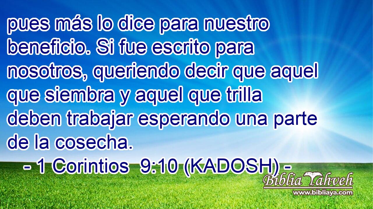 pues más lo dice para nuestro beneficio. Si fue escrito para nosotros, queriendo decir que aquel que siembra y aquel que trilla deben trabajar esperando una parte de la cosecha. 