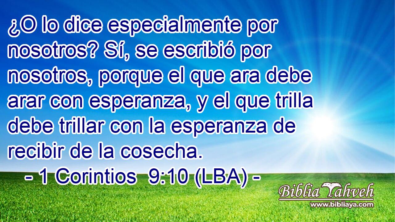 ¿O lo dice especialmente por nosotros? Sí, se escribió por nosotros, porque el que ara debe arar con esperanza, y el que trilla debe trillar con la esperanza de recibir de la cosecha.