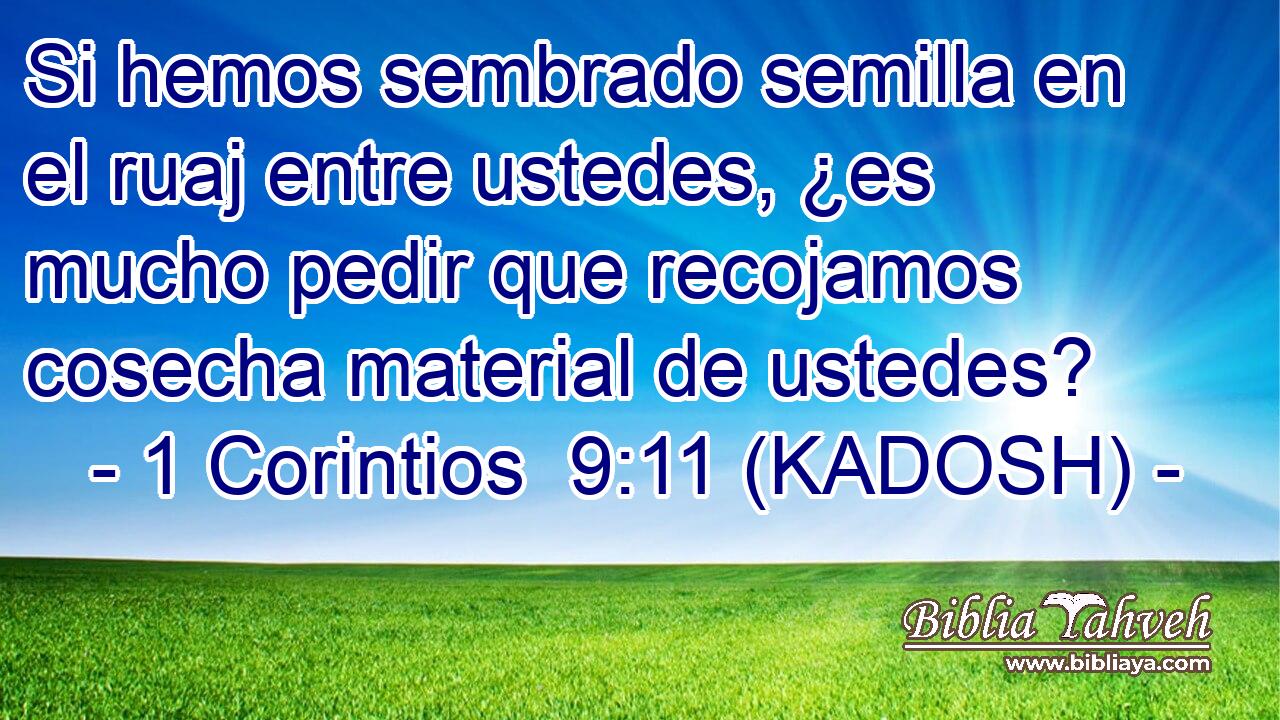  Si hemos sembrado semilla en el ruaj entre ustedes, ¿es mucho pedir que recojamos cosecha material de ustedes? 