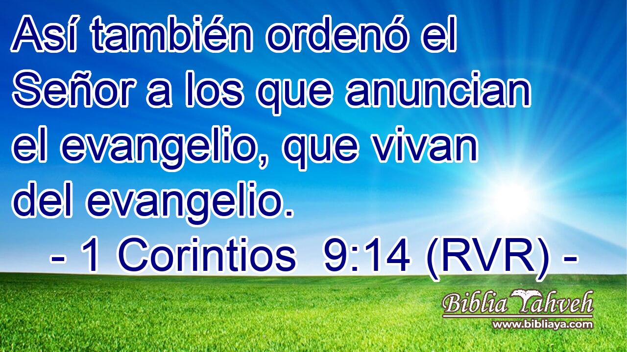 Así también ordenó el Señor a los que anuncian el evangelio, que vivan del evangelio.