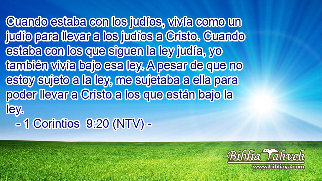 Cuando estaba con los judíos, vivía como un judío para llevar a los judíos a Cristo. Cuando estaba con los que siguen la ley judía, yo también vivía bajo esa ley. A pesar de que no estoy sujeto a la ley, me sujetaba a ella para poder llevar a Cristo a los que están bajo la ley.