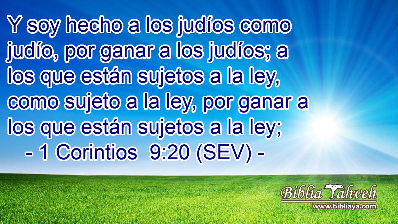 Y soy hecho a los judíos como judío, por ganar a los judíos; a los que están sujetos a la ley, como sujeto a la ley, por ganar a los que están sujetos a la ley;