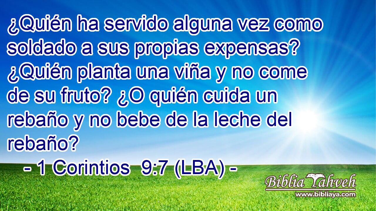 ¿Quién ha servido alguna vez como soldado a sus propias expensas? ¿Quién planta una viña y no come de su fruto? ¿O quién cuida un rebaño y no bebe de la leche del rebaño?