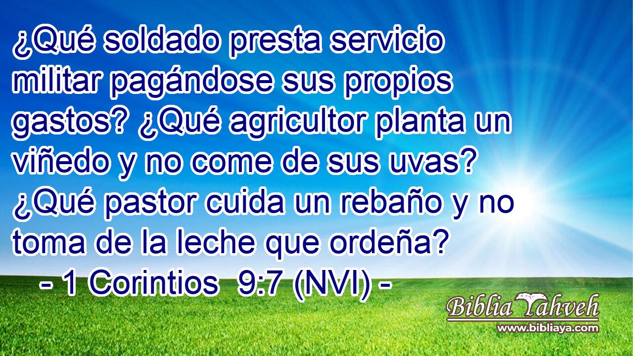  ¿Qué soldado presta servicio militar pagándose sus propios gastos? ¿Qué agricultor planta un viñedo y no come de sus uvas? ¿Qué pastor cuida un rebaño y no toma de la leche que ordeña? 