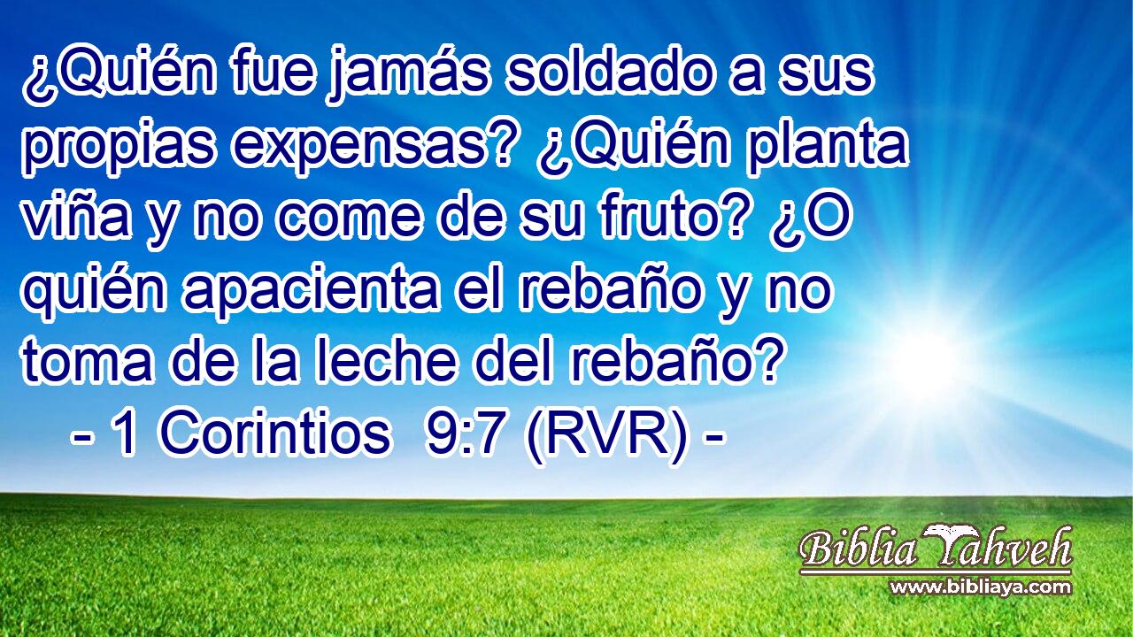¿Quién fue jamás soldado a sus propias expensas? ¿Quién planta viña y no come de su fruto? ¿O quién apacienta el rebaño y no toma de la leche del rebaño?