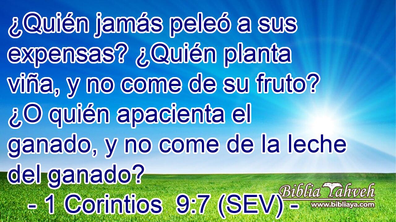 ¿Quién jamás peleó a sus expensas? ¿Quién planta viña, y no come de su fruto? ¿O quién apacienta el ganado, y no come de la leche del ganado?