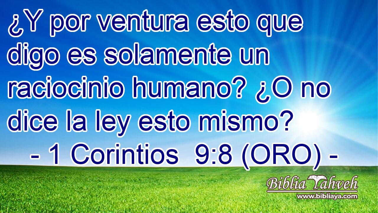  ¿Y por ventura esto que digo es solamente un raciocinio humano? ¿O no dice la ley esto mismo? 
