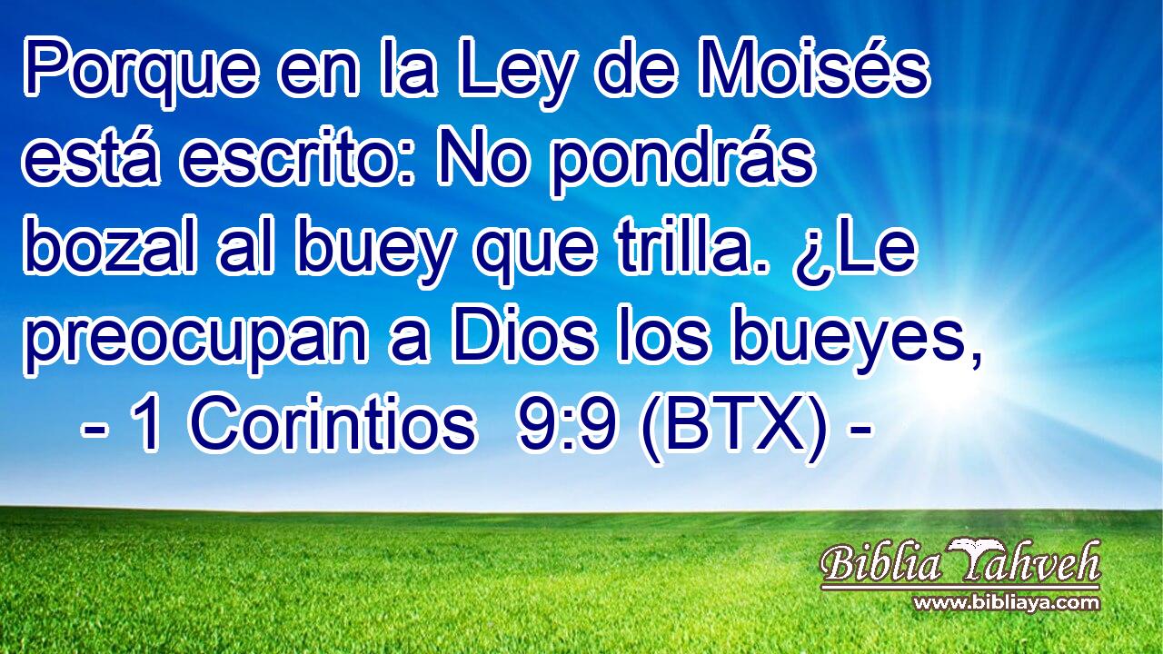 Porque en la Ley de Moisés está escrito: No pondrás bozal al buey que trilla. ¿Le preocupan a Dios los bueyes,