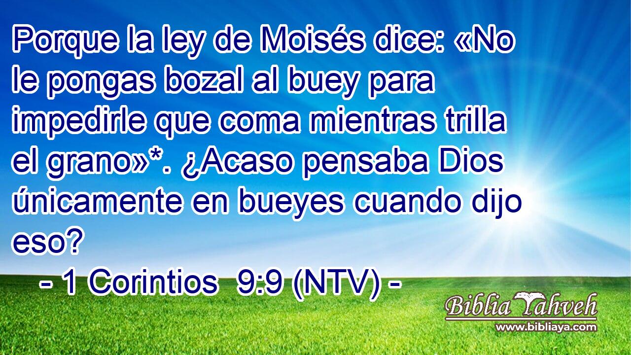 Porque la ley de Moisés dice: «No le pongas bozal al buey para impedirle que coma mientras trilla el grano»*. ¿Acaso pensaba Dios únicamente en bueyes cuando dijo eso?